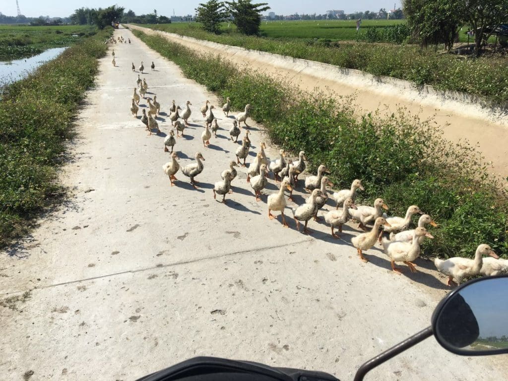Rush Hour in Hoi An