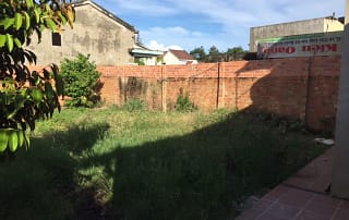 The Garden