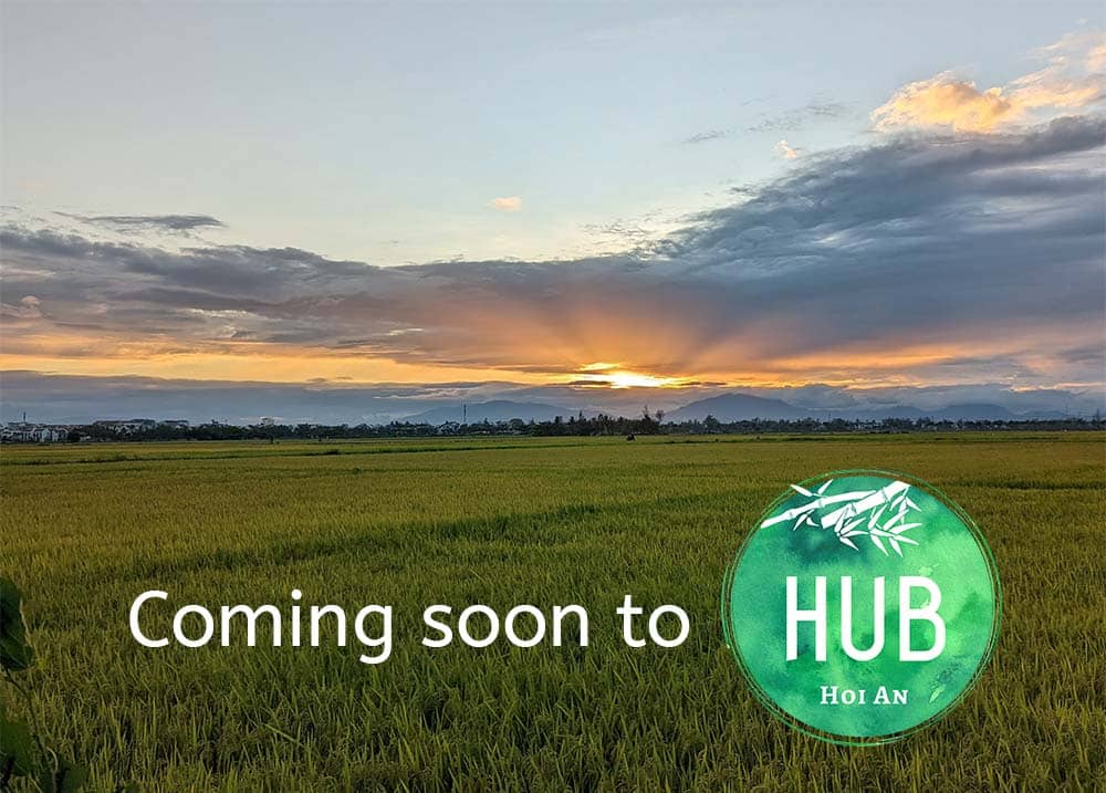 Rice field view and sunset - coming soon to Hub Hoi An